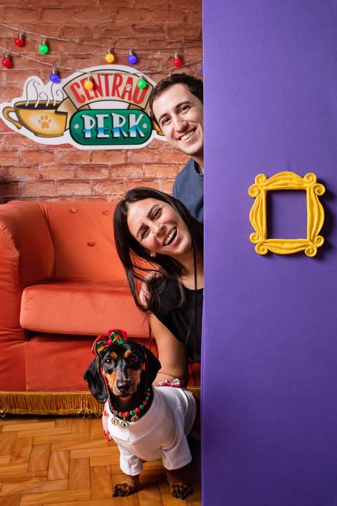 central perk natal 2021 friends ensaio pet fotografia animais cachorro gato animal serie warner netflix hbo arvore de natal enfeite '