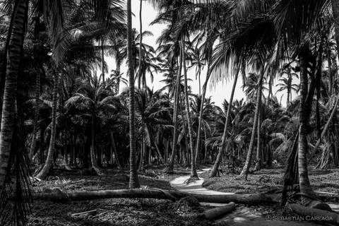 Parque Nacional Tayrona, Colombia'