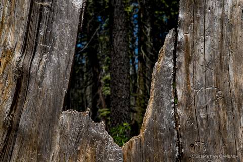 Parque Nacional Yosemite, EE.UU.'