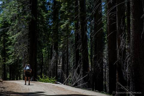 Parque Nacional Yosemite, EE.UU.'