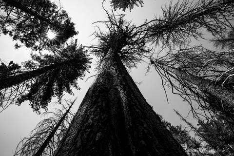 Parque Nacional Yosemite, EE.UU.'