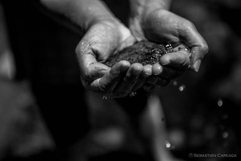 Parque Nacional Yosemite, EE.UU.'