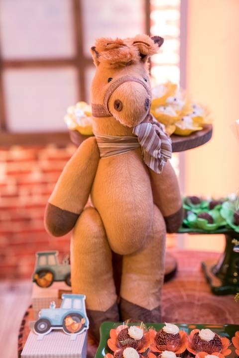 Aniversário infantil no Buffet Leila Malouf, espaço Allegro Kids. Festa de 1 ano do Felipe, tema fazendinha.'