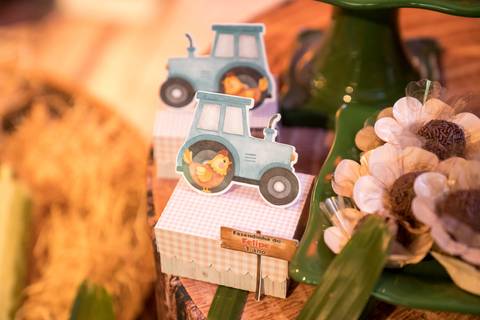 Aniversário infantil no Buffet Leila Malouf, espaço Allegro Kids. Festa de 1 ano do Felipe, tema fazendinha.'