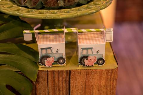 Aniversário infantil no Buffet Leila Malouf, espaço Allegro Kids. Festa de 1 ano do Felipe, tema fazendinha.'