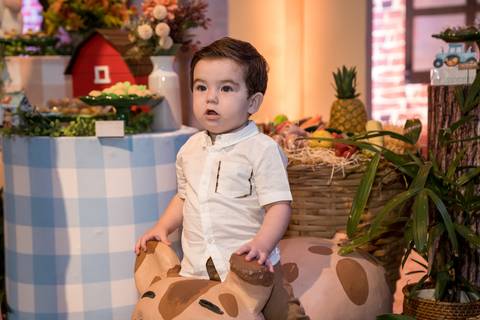 Aniversário infantil no Buffet Leila Malouf, espaço Allegro Kids. Festa de 1 ano do Felipe, tema fazendinha.'