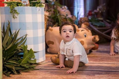 Aniversário infantil no Buffet Leila Malouf, espaço Allegro Kids. Festa de 1 ano do Felipe, tema fazendinha.'