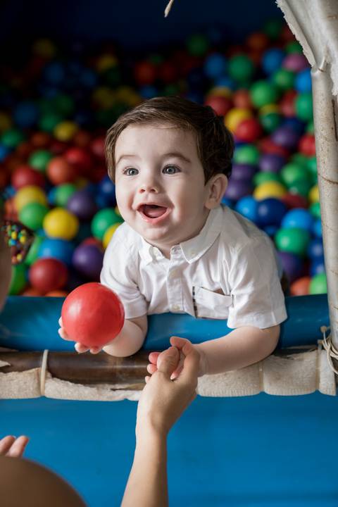 Aniversário infantil no Buffet Leila Malouf, espaço Allegro Kids. Festa de 1 ano do Felipe, tema fazendinha.'