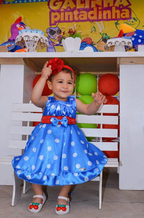 Aniversário Festa Infantil Guarulhos Família Vasconcellos'