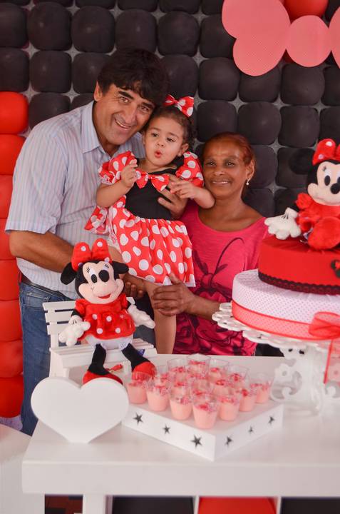 Aniversário Festa Infantil Diadema Família Vasconcellos'