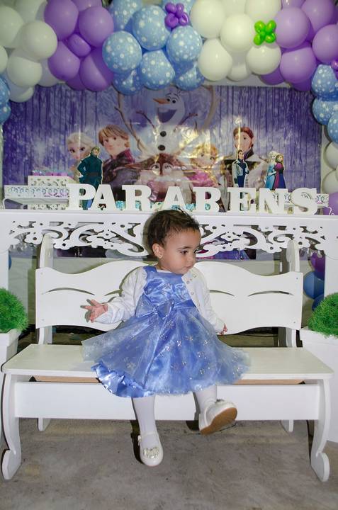 Aniversário Festa Infantil Guarulhos Família Vasconcellos'