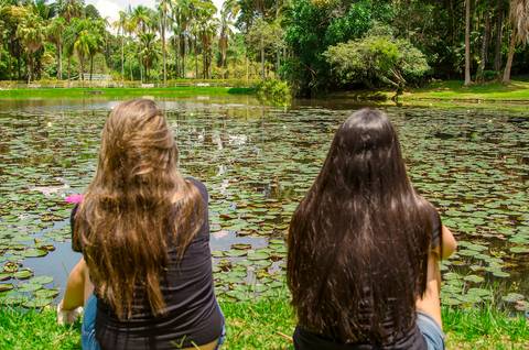 Ensaio Família Jardim Botânico SP'