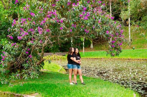 Ensaio Família Jardim Botânico SP'
