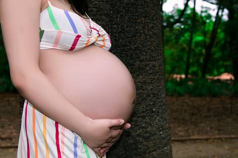 Ensaio Gestante no Parque da Água Branca SP'