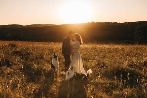 ENSAIO GESTANTE COM CACHORROS EM CAMPO'