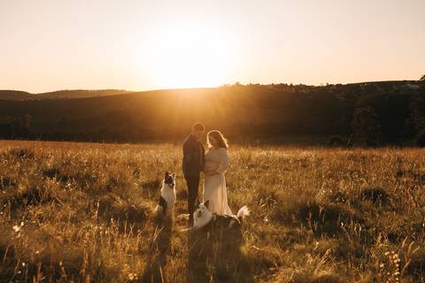 ENSAIO GESTANTE COM CACHORROS EM CAMPO'