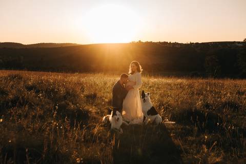 ENSAIO GESTANTE COM CACHORROS EM CAMPO'