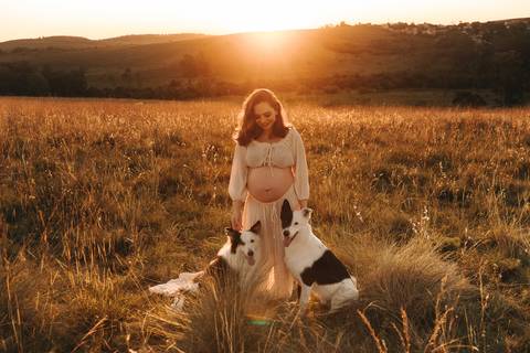 ENSAIO GESTANTE COM CACHORROS EM CAMPO'