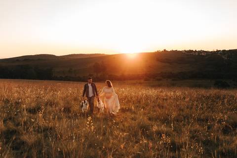 ENSAIO GESTANTE COM CACHORROS EM CAMPO'