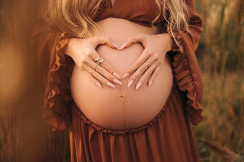 Foto gestante novo hamburgo'