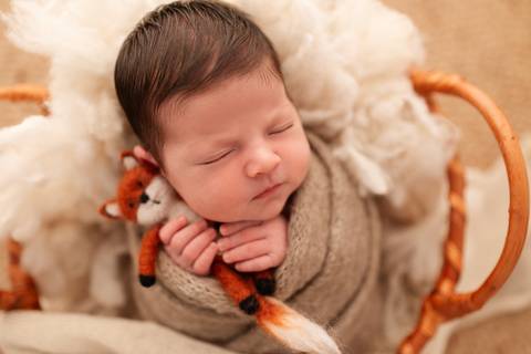 Newborn minimalista e leve do HEITOR '