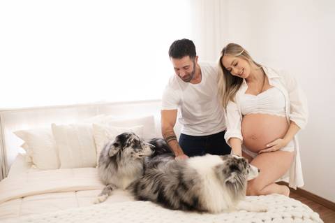Ensaio gestante estudio com cachorro '