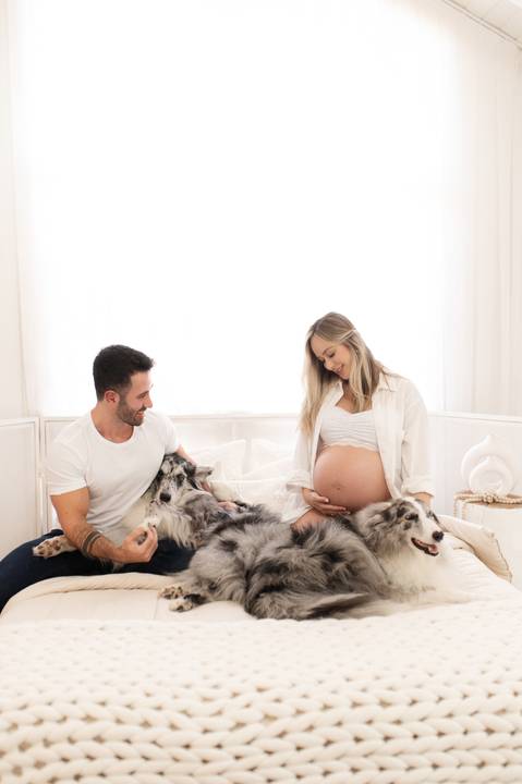 Ensaio gestante estudio com cachorro '