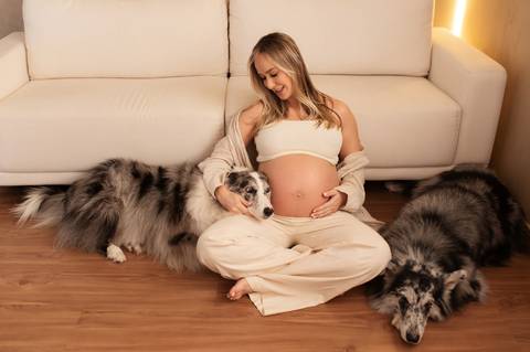 Ensaio gestante estudio com cachorro '