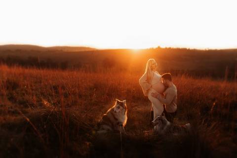 Ensaio gestante por do sol com cachorro '