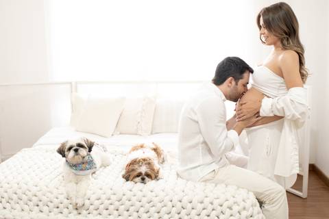 Ensaio gestante em estúdio com cachorro '