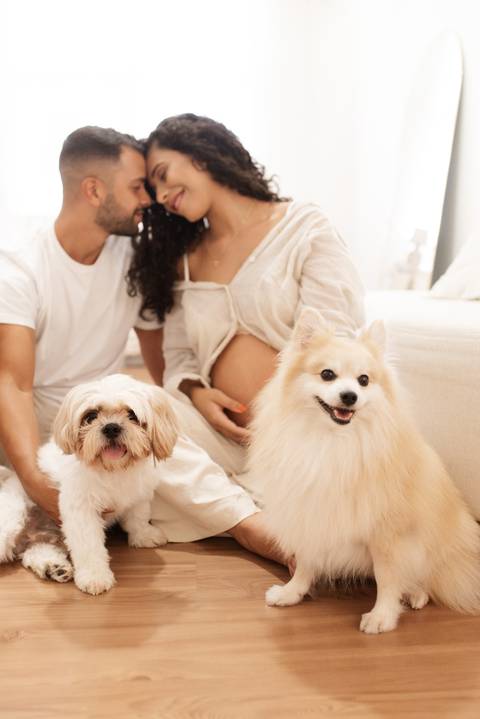 ensaio gestante com cachorro '