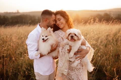 ensaio gestante externo com cachorro '