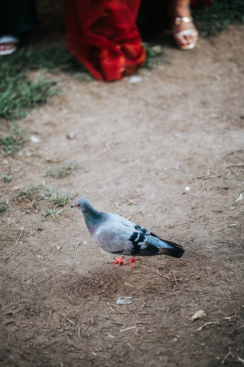 Fotografia de casamento no Porto'