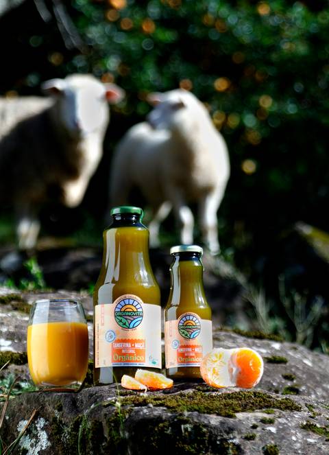 suco de laranja com ovelhas ao fundo'