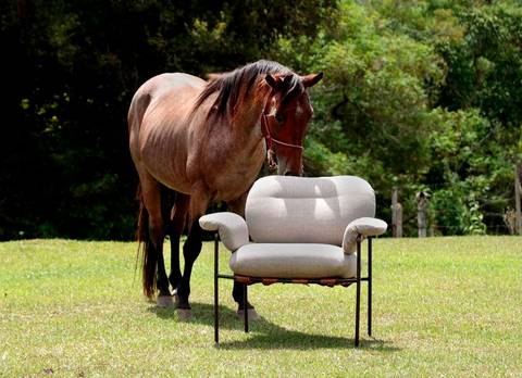 Poltrona em ambiente natural com cavalo'