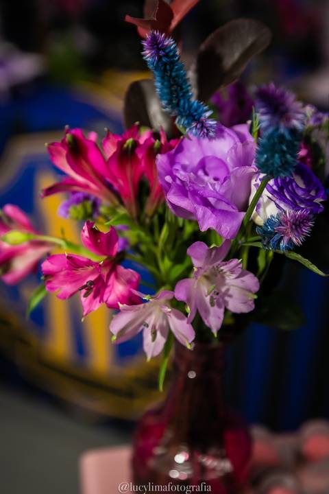 Fotógrafa festa infantil Curitiba'