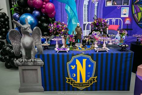 Fotógrafa festa infantil Curitiba'