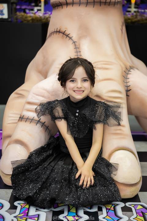 Tema festa infantil Vandinha'