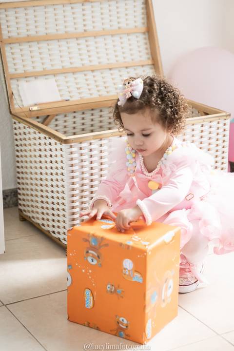 festa infantil circo feminina curitiba'