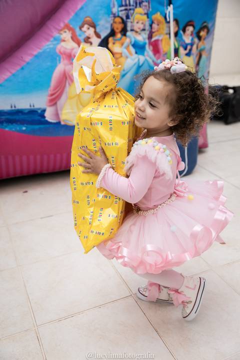 festa infantil circo feminina'