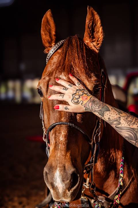 Ensaio Brenda D'angelis Cavalo'