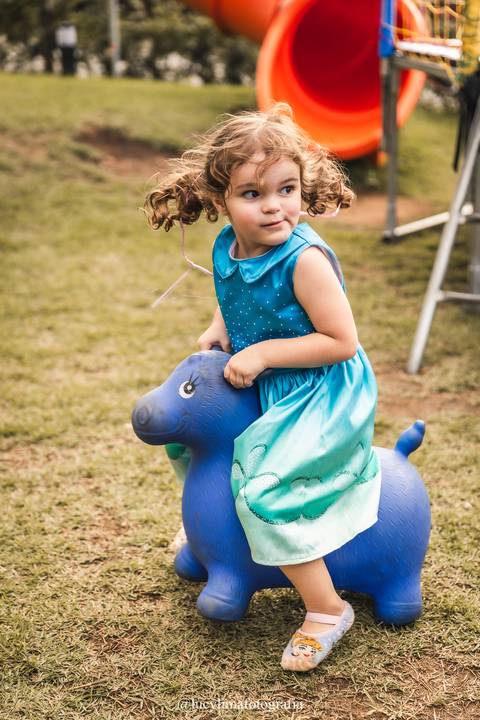 Fotografa Festa infantil curitiba'