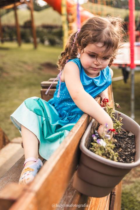 Fotografa Festa infantil curitiba'