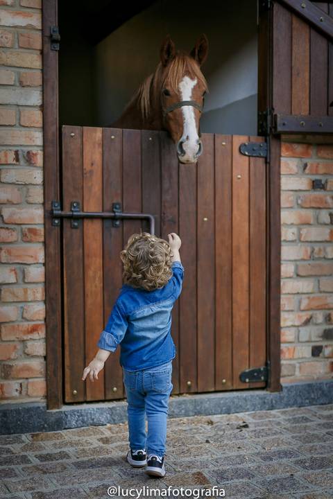 ENSAIO INFANTIL CURITIBA, FOTÓGRAFA INFANTIL, FOTOGRAFIA CRIANÇA, FOTOÓGRAFO INFANTIL CURITIBA'