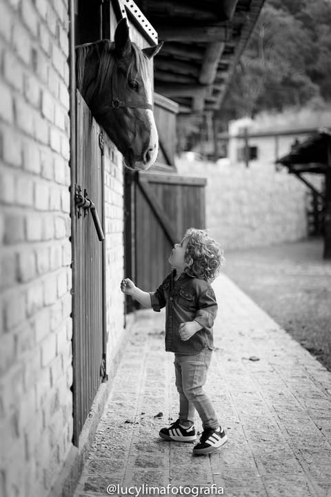 ENSAIO INFANTIL CURITIBA, FOTÓGRAFA INFANTIL, FOTOGRAFIA CRIANÇA, FOTOÓGRAFO INFANTIL CURITIBA'
