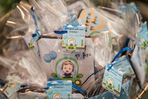 fotógrafo aniversário infantil curitiba'