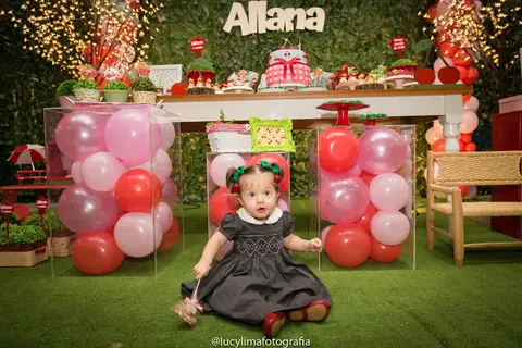 fotografia festa infantil curitiba'
