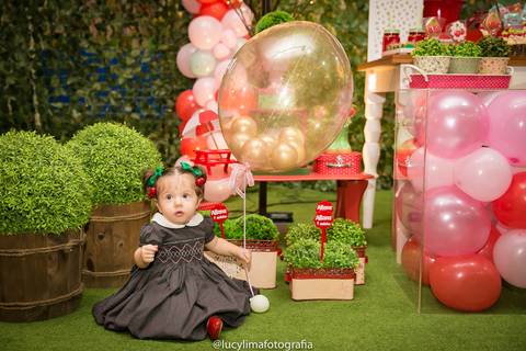 fotografia festa infantil curitiba'