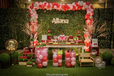 fotografia festa infantil curitiba'