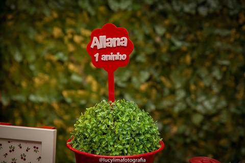 fotografia festa infantil curitiba'